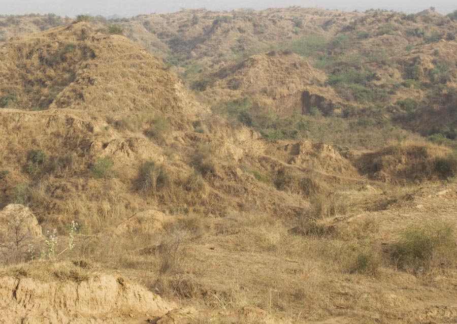 Human Induced Land Subsidence